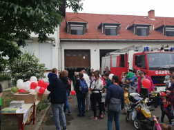 sok érdeklődő