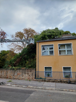 Hatalmas fa dőlt egy iskola épületére