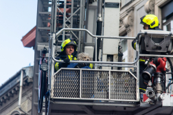 Harmadik emeleti párkányról mentettek kutyát a fővárosi tűzoltók