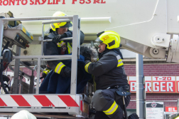 Harmadik emeleti párkányról mentettek kutyát a fővárosi tűzoltók