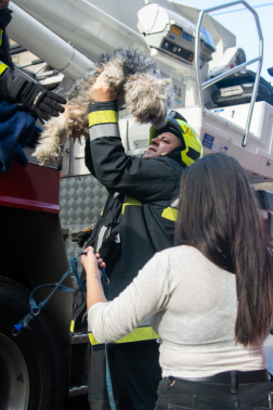 Harmadik emeleti párkányról mentettek kutyát a fővárosi tűzoltók