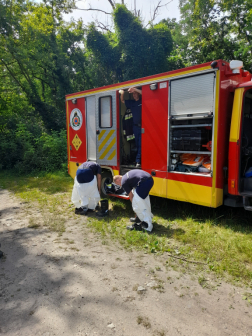 Katasztrófavédelem