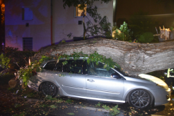 Parkoló autóra hasadt egy fa 6