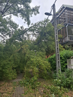 Katasztrófavédelem