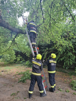 Katasztrófavédelem