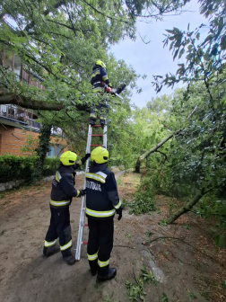Katasztrófavédelem