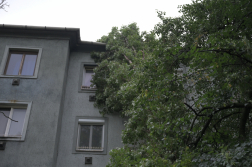 20 méteres fa dőlt egy társasházra