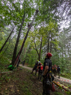 Katasztrófavédelem