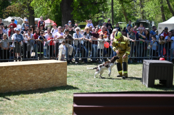 XIII. Rendőr- és Tűzoltónap a Városligetben