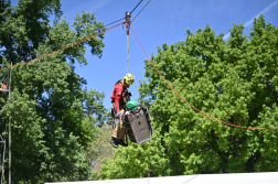 XIII. Rendőr- és Tűzoltónap a Városligetben