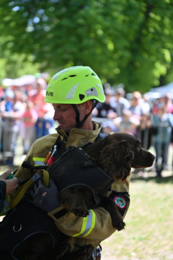 XIII. Rendőr- és Tűzoltónap a Városligetben