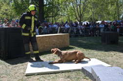 XIII. Rendőr- és Tűzoltónap a Városligetben