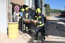 palack kihozatal